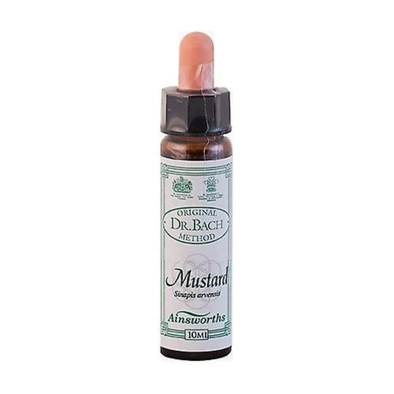 n  21 Mustard 10 ml