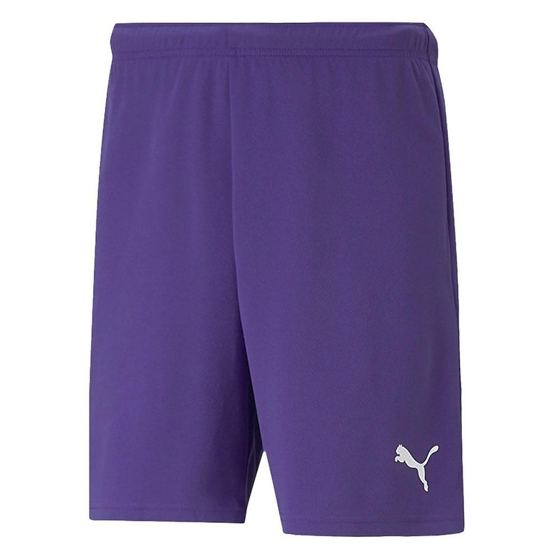 Puma Teamrise 70494210 universal all year men