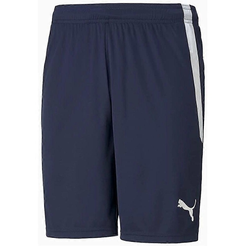 Puma Spodenki Mskie Teamliga Granatowe 70492406 training all year men